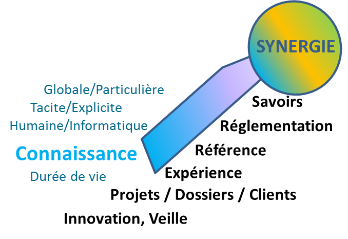 Synthèse sur la nature des connaissances -1