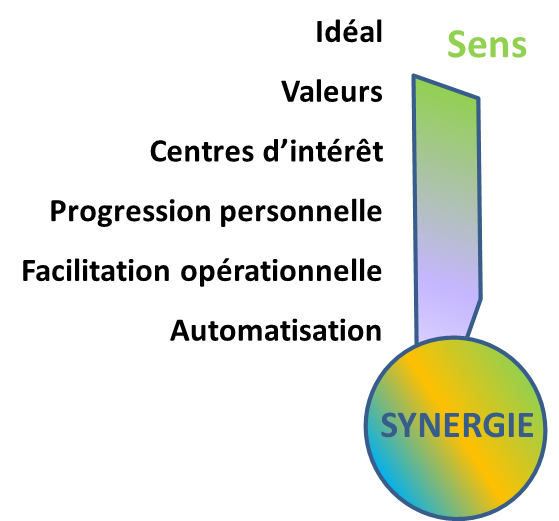 Synthèse de la dimension Sens -1
